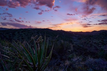 PCT21 157.jpg
