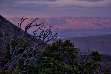 PCT21 170.jpg