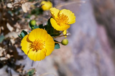PCT21 219.jpg