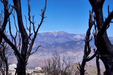 PCT21 221.jpg