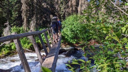 PXL_20220716_144448168.jpg PXL_20220716_144448168.jpg