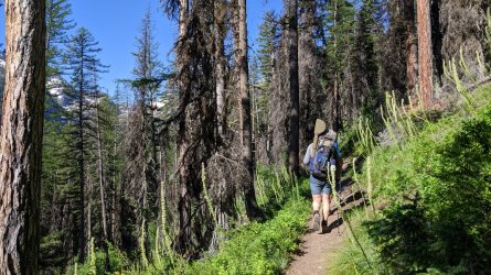 PXL_20220716_153326659.jpg PXL_20220716_153326659.jpg