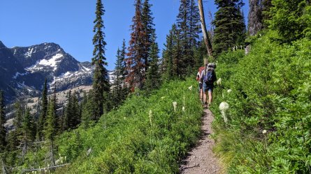 PXL_20220716_164542050.jpg PXL_20220716_164542050.jpg