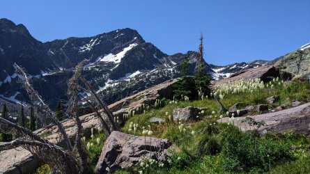 PXL_20220716_172401767.jpg PXL_20220716_172401767.jpg