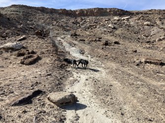 IMG_0172.jpeg IMG_0172.jpeg