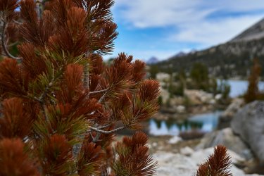 PCT21 275.jpg PCT21 275.jpg