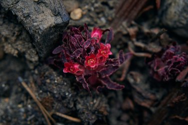 PCT21 430.jpg PCT21 430.jpg