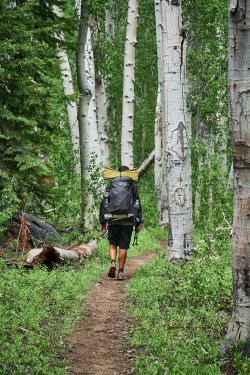 PCT21 432.jpg PCT21 432.jpg