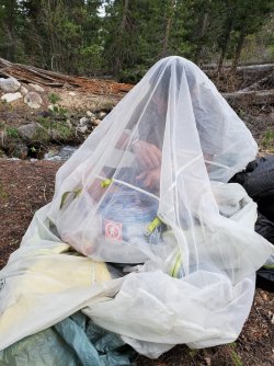 20210603_122857.jpg 20210603_122857.jpg