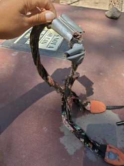 20210607_105109.jpg 20210607_105109.jpg