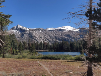 1664149578292.png 1664149578292.png