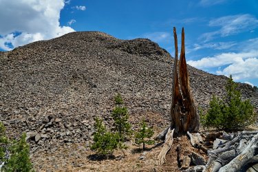 PCT21 00 8.jpg PCT21 00 8.jpg