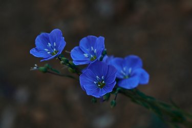 PCT21 00 30.jpg PCT21 00 30.jpg