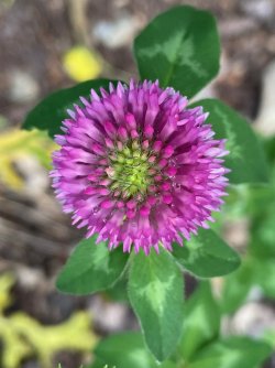 IMG_9178.jpg IMG_9178.jpg