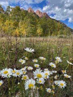 IMG_8729.jpg IMG_8729.jpg