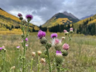 IMG_8891.jpg IMG_8891.jpg