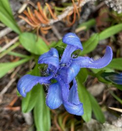 IMG_9204 2.jpg IMG_9204 2.jpg