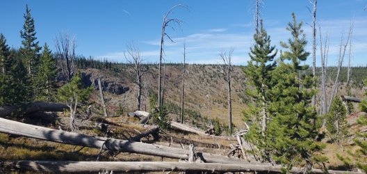 20220925_143156.jpg 20220925_143156.jpg