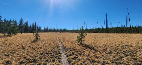 20220925_145922.jpg 20220925_145922.jpg