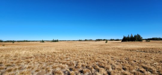 20220926_094018.jpg 20220926_094018.jpg