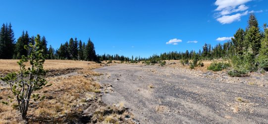 20220926_133143.jpg 20220926_133143.jpg