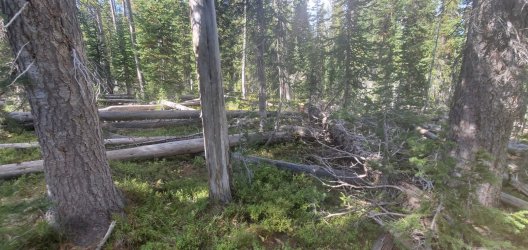 20220926_151141.jpg 20220926_151141.jpg