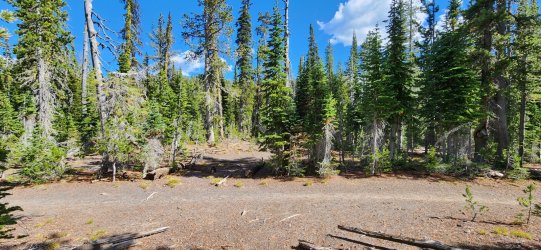 20220927_141655.jpg 20220927_141655.jpg