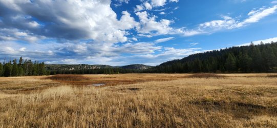 20220929_090103.jpg 20220929_090103.jpg