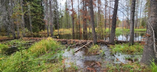 20220929_110037.jpg 20220929_110037.jpg