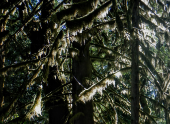 1665007737174.png 1665007737174.png