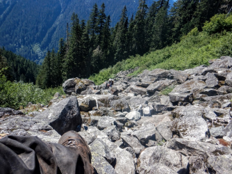 1665007835684.png 1665007835684.png