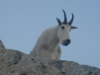 1665008333750.png 1665008333750.png