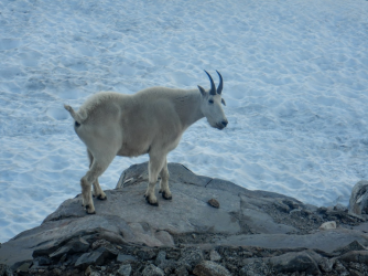 1665008360007.png 1665008360007.png