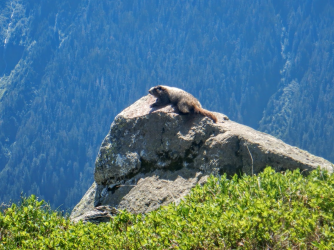 1665009254022.png 1665009254022.png