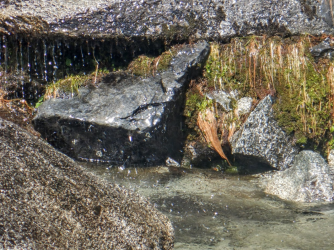 1665009289566.png 1665009289566.png