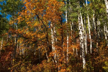 RCM07656-Blanche 10-2022-221007-6.jpg