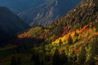 RCM07730-Blanche 10-2022-221007-32.jpg