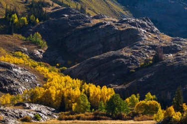 RCM07984-Blanche 10-2022-221008-49.jpg