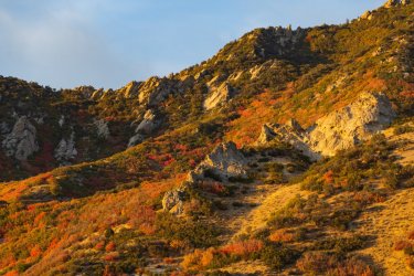 RCM08080-Blanche 10-2022-221008-62.jpg