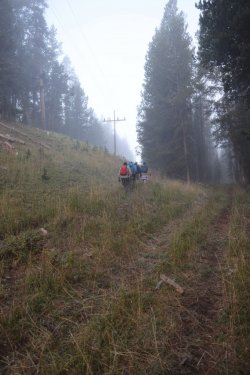 0O7A0565.JPG 0O7A0565.JPG