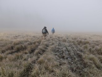 0O7A0569.JPG 0O7A0569.JPG