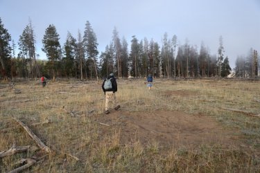 0O7A0589.JPG 0O7A0589.JPG