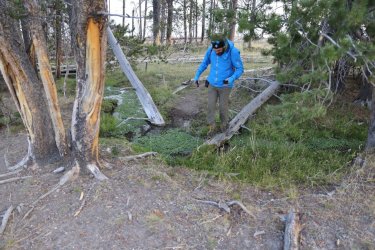 0O7A0591.JPG 0O7A0591.JPG