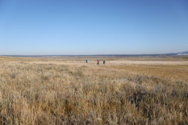 0O7A0595.JPG 0O7A0595.JPG