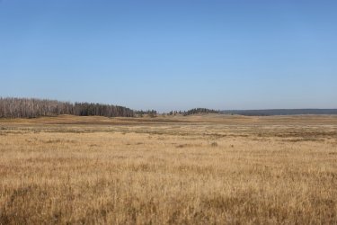 0O7A0601.JPG 0O7A0601.JPG