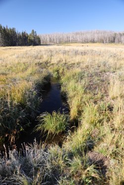 0O7A0606.JPG 0O7A0606.JPG