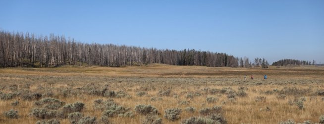 0O7A0608.JPG 0O7A0608.JPG