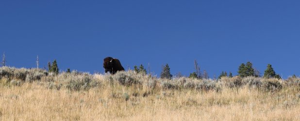 0O7A0621.JPG 0O7A0621.JPG