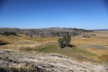 0O7A0630.JPG 0O7A0630.JPG