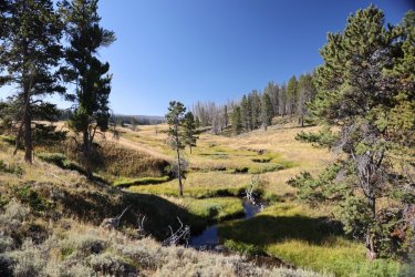 0O7A0635.JPG 0O7A0635.JPG